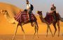 Experience the Ultimate Adventure with Desert Safari Sharjah