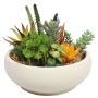 Grab These Stunning Artificial Succulents and Orchids at Who
