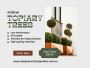 Maintenance-Free Artificial Topiary Trees For Indoor/Outdoor