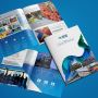 Understanding the Important Role of Brochures in Marketing