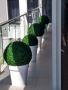 Realistic looking faux topiary balls