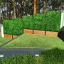 Transform Your Space with Designer Boxwood Hedges