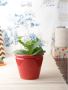 handmade ceramic tabletop & metallic planters Online -VarEes