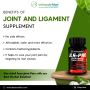 Joint and Ligament Supplement | Detonutrition