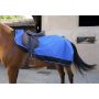 Trusted Horse Exercise Sheet Supplier