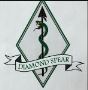 Diamond Spear LLC