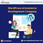 WordPress eCommerce Development Company in the US