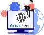 Best Custom WordPress Development Services
