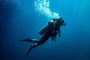 Exploring Scuba Diving Cost in Andaman Island