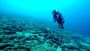 Top Scuba Diving Locations in Andaman For You