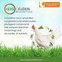 Herbofloxin: Poultry Performance Booster