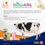  Herbocal - Calcium tabs - milk yield for cattle, Milk feve