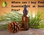Where can I buy Pine Essential Oil at Best Price?