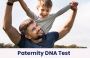  DNA Paternity Testing - Know About Process, Results, and Co
