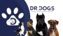 Unlock a World of Canine Care: Explore DR-DOGS Blog Today!
