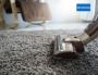 DIY vs. Professional Carpet Cleaning: What Works Best?