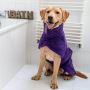 Quick-Dry Comfort: Dog Drying Coats for Sale in the UK!