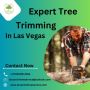 Tree Trimming Services Las Vegas - Duranchi Tree Service