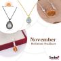 DWS Jewellery: Wholesale Price November Birthstone Necklaces