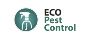 Professional Eco Pest Control Services in Johannesburg