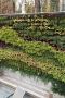 Living Wall Designers In New York