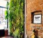Natural Green Wall Designers in Brooklyn