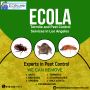 Ecola Termite and Pest Control Services 