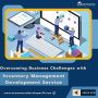 Overcoming Business Challenges with Inventory Management Sof