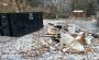 Best 10 Yard Dump in Kitchener Best 10 Yard Dump in Kitchener