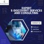 Expert E-Discovery Services And Consulting | Elijah
