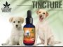 Buy Cbd Tinctures for Pets - Elite Hemp Products