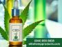 Experience Natural Wellness with CBD Oil 