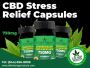 Stay Relief with CBD Stress Relief Capsule - Elite Hemp 