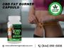 Rev Up Your Weight Loss Journey with CBD Fat Burner Capsules
