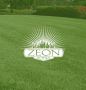 Zeon Zoysia: Your Perfect Lawn Solution