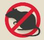 Get The Best Service for Rodent Control in Wollongong