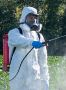 Need The Best Pest Management in Oakhurst