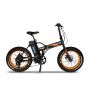 Buy The Best Tricycle Electric Bike In FL