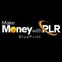 Make $100! A Day With PLR Blueprint