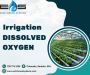 Find The Best Nanobubbles Irrigation Dissolved Oxygen