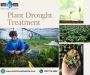 Drought Defender: Empowering Plants with Targeted Treatment