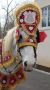 Symbolize Purity and Joy with Equishare's White Baraat Horse