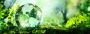 Strong ESG Practices Can Benefit Companies and Investors Strong ESG Practices Can Benefit Companies and Investors