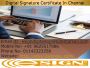 Professional Digital Signature Agency in Chennai