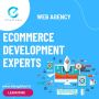 Ecommerce Development Experts in Kolkata - Your Path to Onli