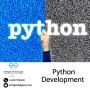Leading Python Development Company | Custom Solutions
