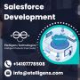 Expert Salesforce Development Services - Boost Your CRM!