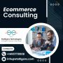 Leading Ecommerce Consulting Company - Boost Your Online Suc
