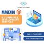 Highly Acclaimed Magento development Services – Etelligens