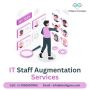 Best IT Staff Augmentation Services for Your Urgent Requirem